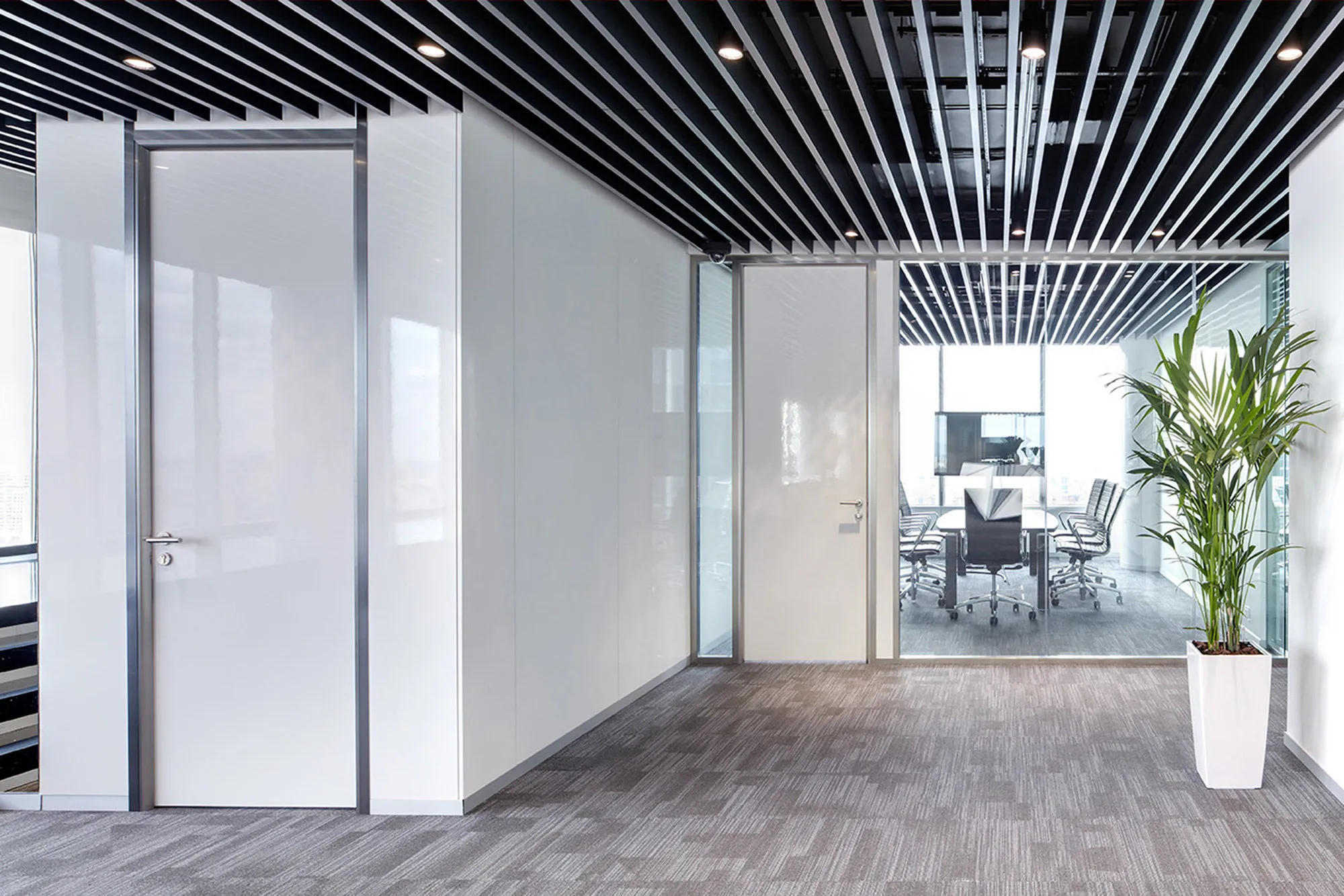 Офисные двери