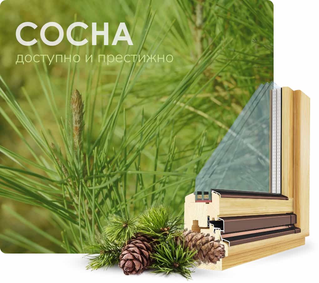 Окна из сосны